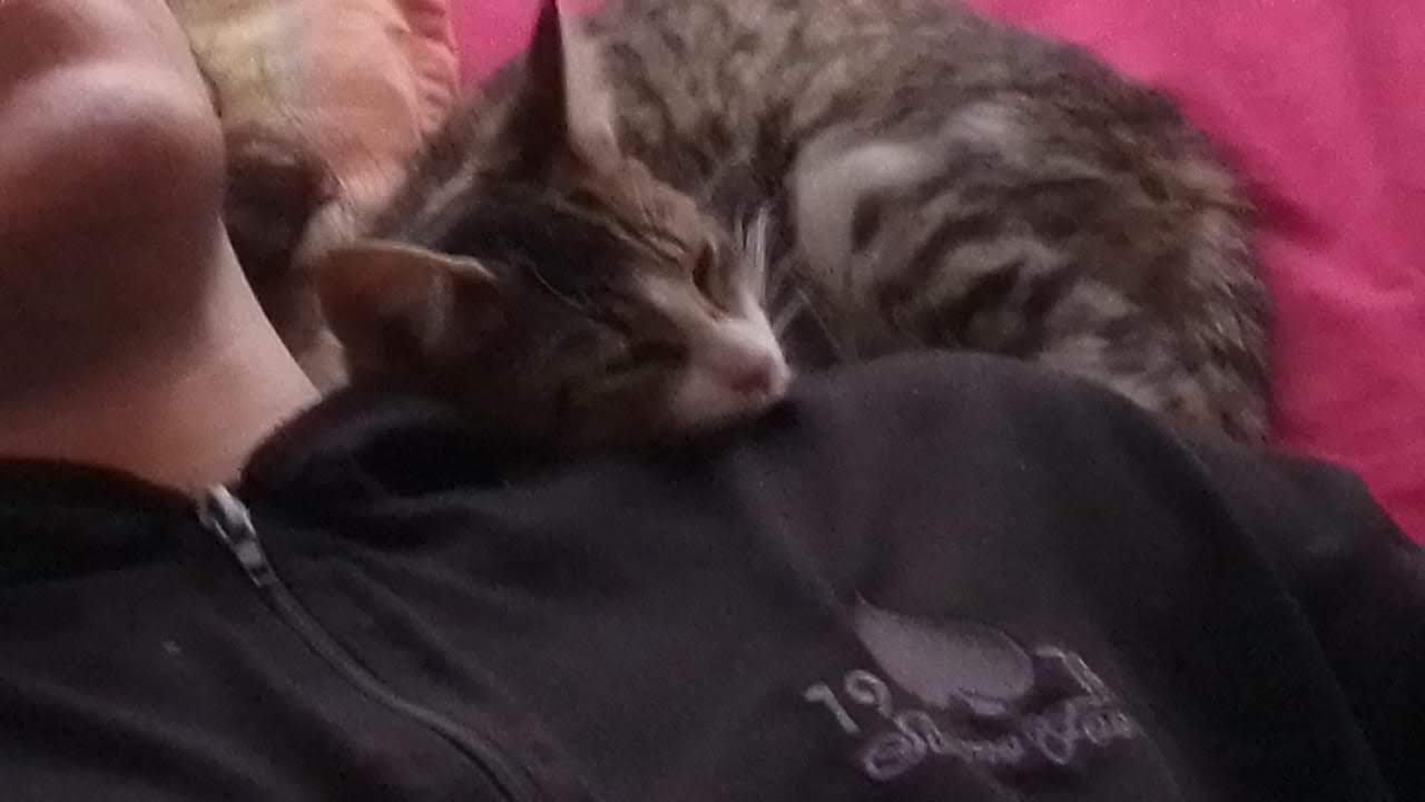 Estoy yo acostada con mi gatita Kata sobre mi hombro. Ella es blanca y negra, con rayas grises.