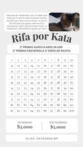 Flyer de la rifa por Kata. Incluye cien números, del 1 al 100. El primer premio son auriculares in-ear y el segundo una pastafrola o una tarta de ricota. Un número cuesta 3.000 pesos y dos números cuestan 5.000 pesos.