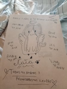 imagen 20 muy pronto con descripción personalizada.